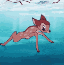 05BC87FB-DB60-4898-AB69-01160DBDC898.gif