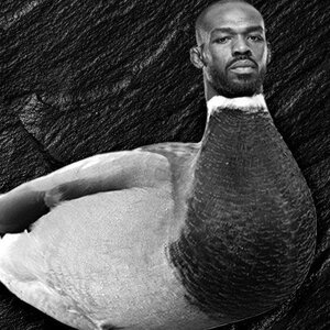 jonesduck.jpeg