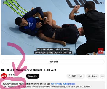 bjj2.png