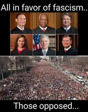 1000016664.jpg 1000016664.jpg