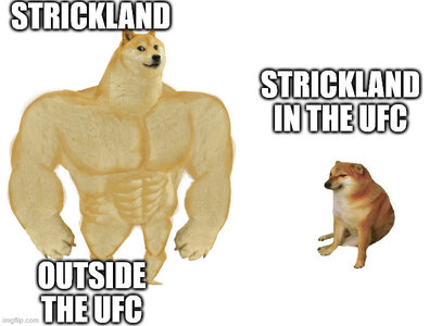1751312477120.jpeg