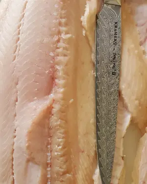 1000000271.webp 1000000271.webp