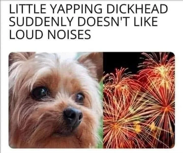 1751652757447.png