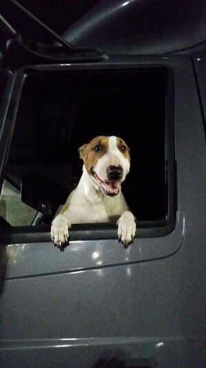 20160215_005955.jpg