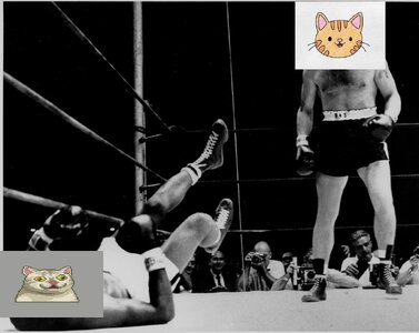 download.jpg download.jpg