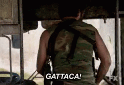 1752382708263.gif