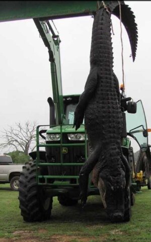 Screenshot_2024-09-09-17-14-10-04_92460851df6f172a4592fca41cc2d2e6.jpg Screenshot_2024-09-09-17-14-10-04_92460851df6f172a4592fca41cc2d2e6.jpg