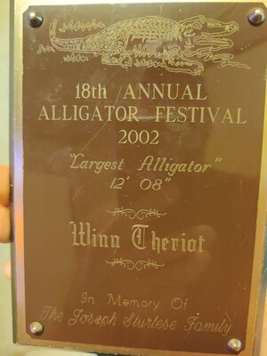 IMG_20250714_134605.jpg IMG_20250714_134605.jpg