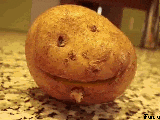 1752532499714.gif
