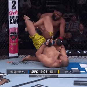 1000116177.gif
