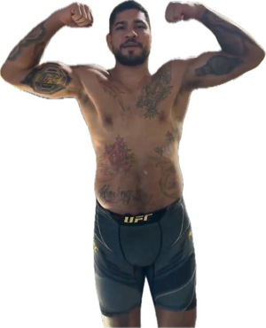 1752633368244.png