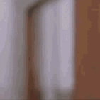 1752938229435.gif