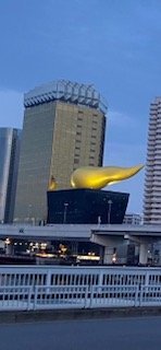 IMG_5917.jpg