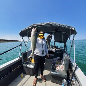 20250623_144117.jpg 20250623_144117.jpg