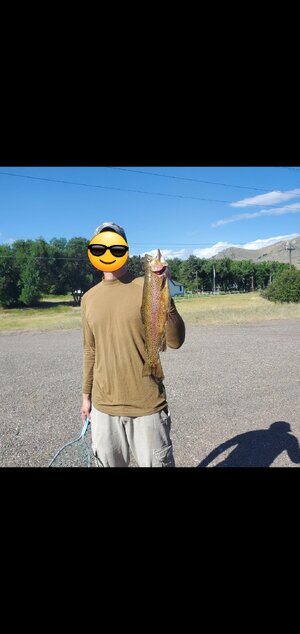 Screenshot_20250722-113347_Gallery.jpg Screenshot_20250722-113347_Gallery.jpg