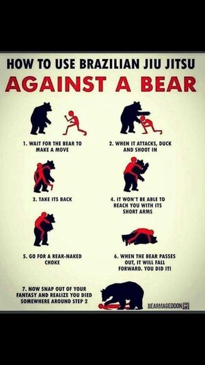BearJitsu.jpg