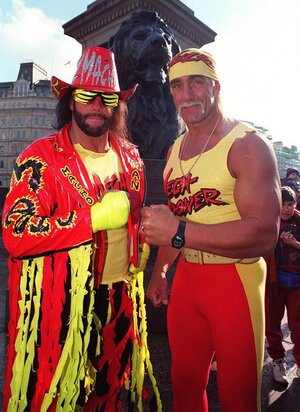 hulk hogan 6.jpg