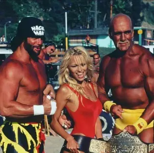 hulk hogan 8.webp