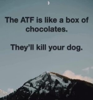 FB_IMG_1753627722282.jpg FB_IMG_1753627722282.jpg