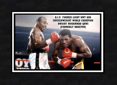 r.i.p. dwight muhammad qawi punching matthew saad muhammad.jpg