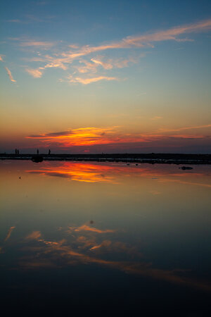 IMG_7293.jpg