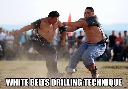 white-belts-bjj-drilling-meme_grande.jpg