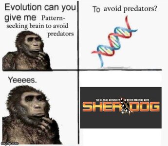 1753974293571.jpeg 1753974293571.jpeg