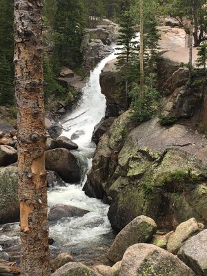 IMG_1869.jpeg