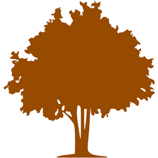 Brown tree 32 icon - Free brown tree icons