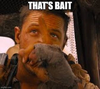 thats bait.jpg