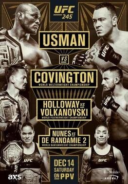 UFC_245poster.jpeg
