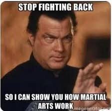 Bullshido - Meme by knott :) Memedroid