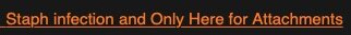 staph.jpg