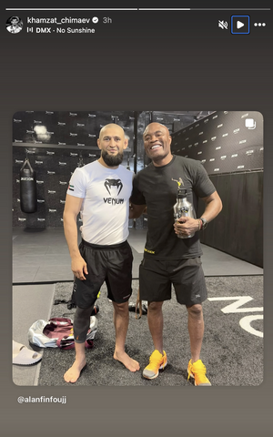 wrestling vs striking.png