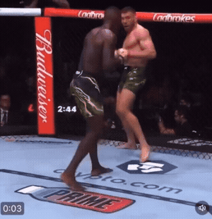 gif2.gif