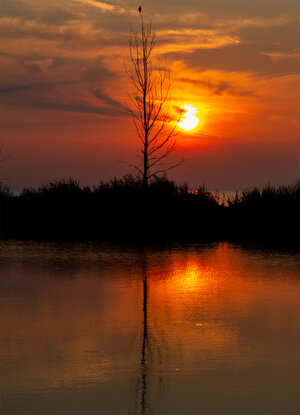 sunset5.jpg