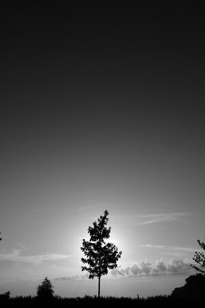 IMG_8046.jpg