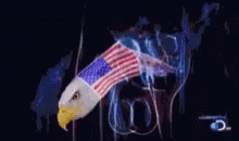 IMG_3810.gif