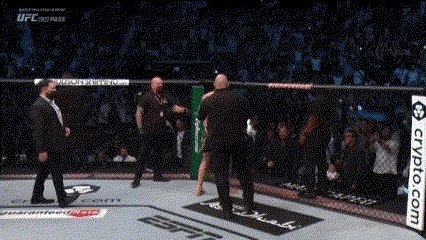khammzat jumps on cage.gif