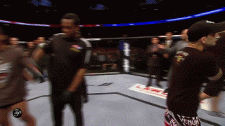Frankie-6-99148cfbec.gif