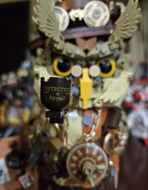 Owl Close Up.jpg