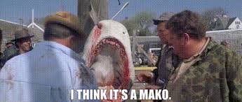 IMG_1162.jpeg IMG_1162.jpeg