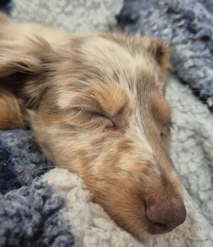 Screenshot 2025-09-06 185210.jpg