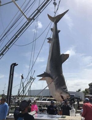 IMG_3154.jpeg IMG_3154.jpeg