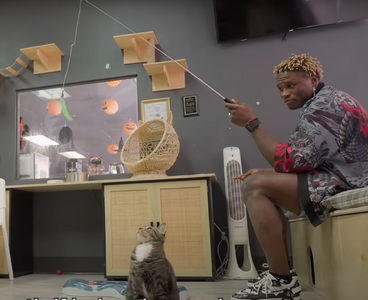 1759447060857.png 1759447060857.png