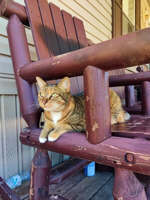 IMG_20251011_123254.jpg IMG_20251011_123254.jpg