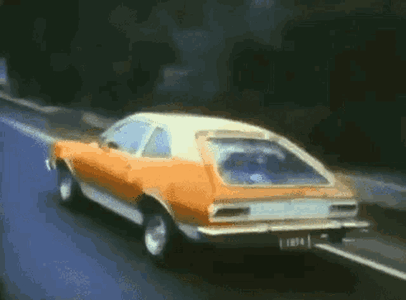 1000020299.gif