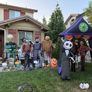 IMG_2025-10-11-202110.jpeg IMG_2025-10-11-202110.jpeg