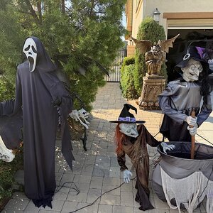 IMG_2025-10-11-202144.jpeg IMG_2025-10-11-202144.jpeg