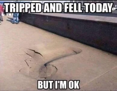 ITrippedAndFell.jpg